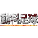 動科足球 (animal sciences soccer)