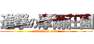 進撃の摩爾莊園 (attack on mole)