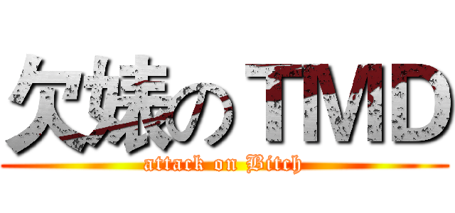 欠婊のＴＭＤ (attack on Bitch)