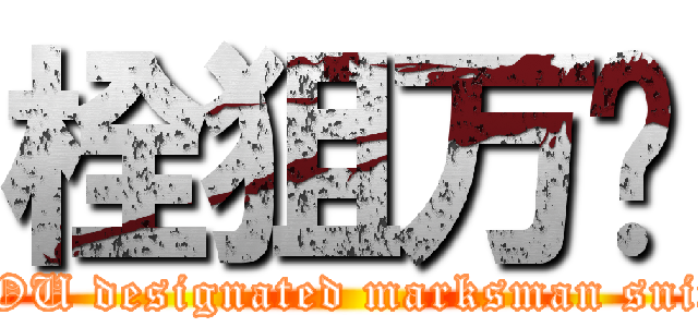 栓狙万岁 (FUCK YOU designated marksman sniping rifle)