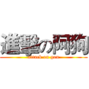 進擊の阿狗 (attack on gou)