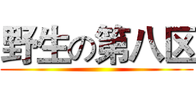野生の第八区 ()
