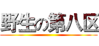 野生の第八区 ()