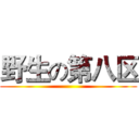 野生の第八区 ()