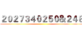 ２０２７３４０２５０＆２４８ ()