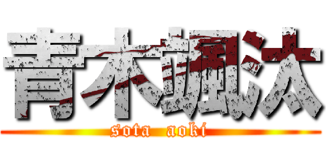 青木颯汰 (sota  aoki)