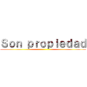 Ｓｏｎ ｐｒｏｐｉｅｄａｄ ()