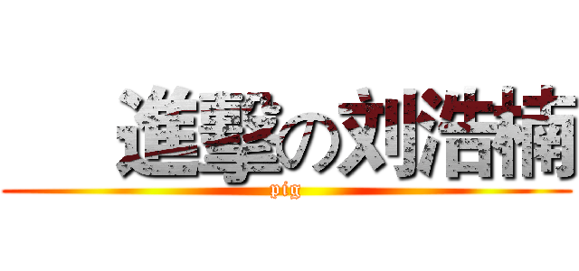      進擊の刘浩楠 (pig)