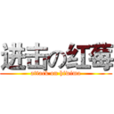 进击の红莓 (attack on hiwima)