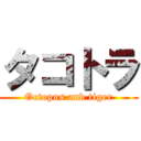 タコトラ (Octopus and tiger)