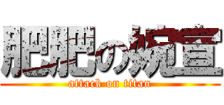 肥肥の婉宣 (attack on titan)