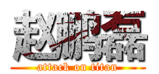 赵鹏磊 (attack on titan)