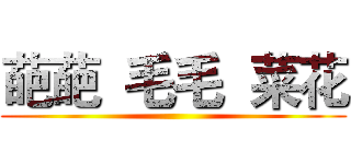 葩葩  毛毛  菜花 ()