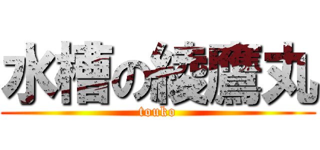水槽の綾鷹丸 (touko)