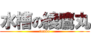 水槽の綾鷹丸 (touko)
