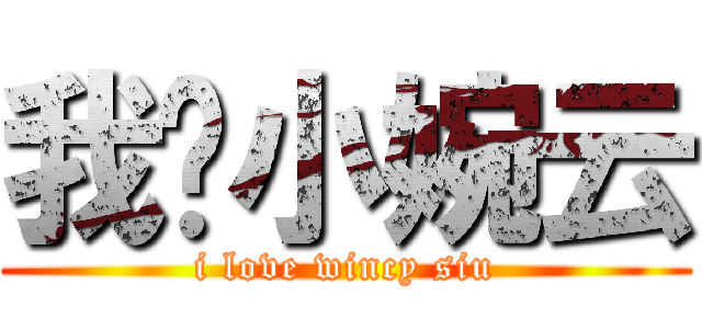 我爱小婉云 (i love wincy siu)