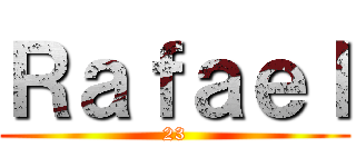 Ｒａｆａｅｌ (23)