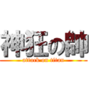 神狂の帥 (attack on titan)