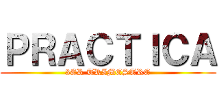 ＰＲＡＣＴＩＣＡ (3ER TRIMESTRE)