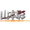 山本彩  (Sayaka Yamamoto )