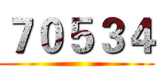 ７０５３４ ()