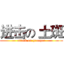 进击の 土斑 (attack on grouper)
