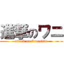 進撃のワニ (attack on Crocodile)