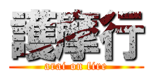 護摩行 (arai on fire)