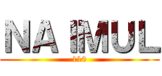 ＮＡＩＭＵＬ (110)