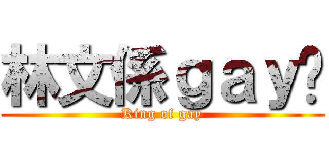 林文係ｇａｙ佬 (King of gay)