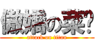 傲嬌の菜喳 (attack on titan)