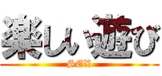 楽しい遊び (SEX)