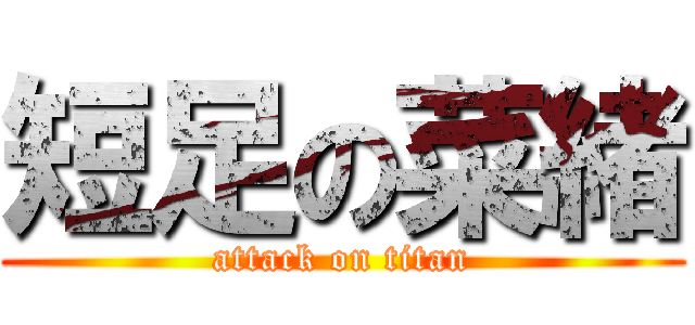 短足の菜緒 (attack on titan)