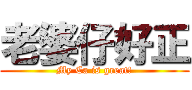 老婆仔好正 (My Ca is great!)