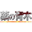 薬の青木 (Medicinal Aoki )