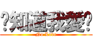 你知道我愛你 (No Love)