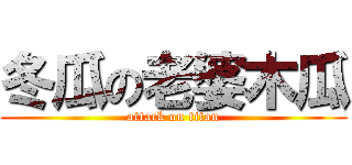 冬瓜の老婆木瓜 (attack on titan)