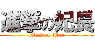 進撃の妃長 (attack on titan)