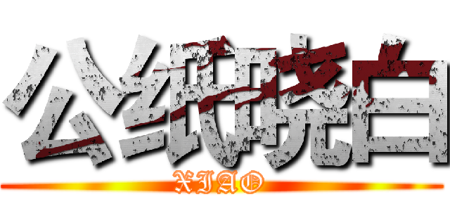 公纸晓白 (XIAO)