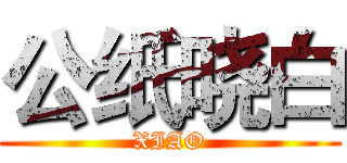 公纸晓白 (XIAO)