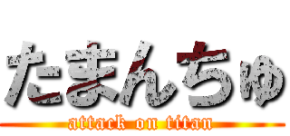 たまんちゅ (attack on titan)