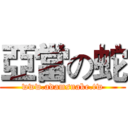 亞當の蛇 (www.adamsnake.tw)