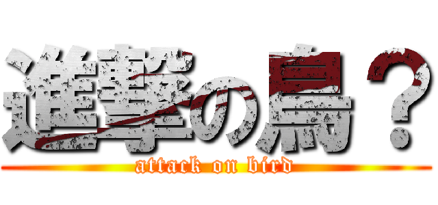 進撃の鳥？ (attack on bird)