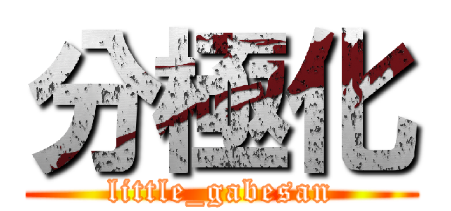 分極化 (little_gabesan)