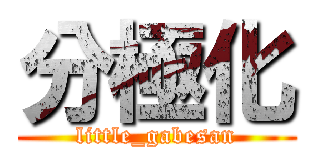 分極化 (little_gabesan)
