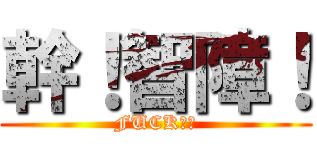 幹！智障！ (FUCK！！)