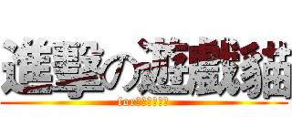 進擊の遊戲貓 (for異次元掌控者)