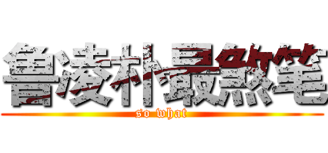 鲁凌朴最煞笔 (so what)