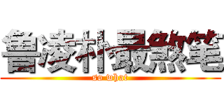 鲁凌朴最煞笔 (so what)