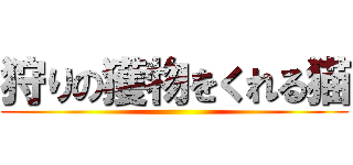 狩りの獲物をくれる猫 ()